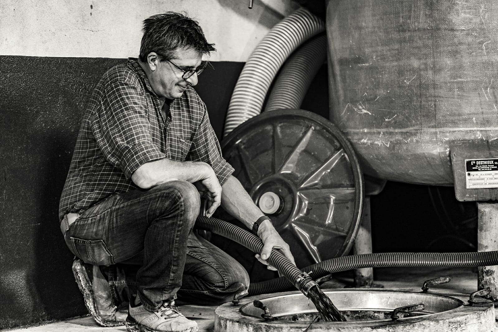 En plein travail au domaine Jérôme Gradassi