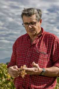 Jérôme Gradassi dans ses vignes