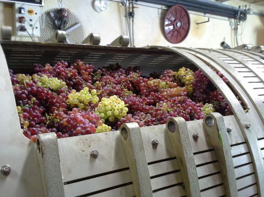 Le temps des vendanges