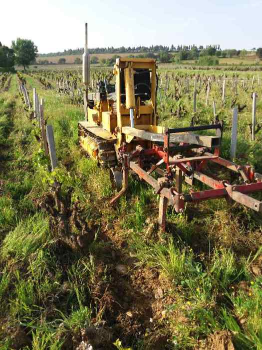 le travail des terres au domaine jérôme gradassi