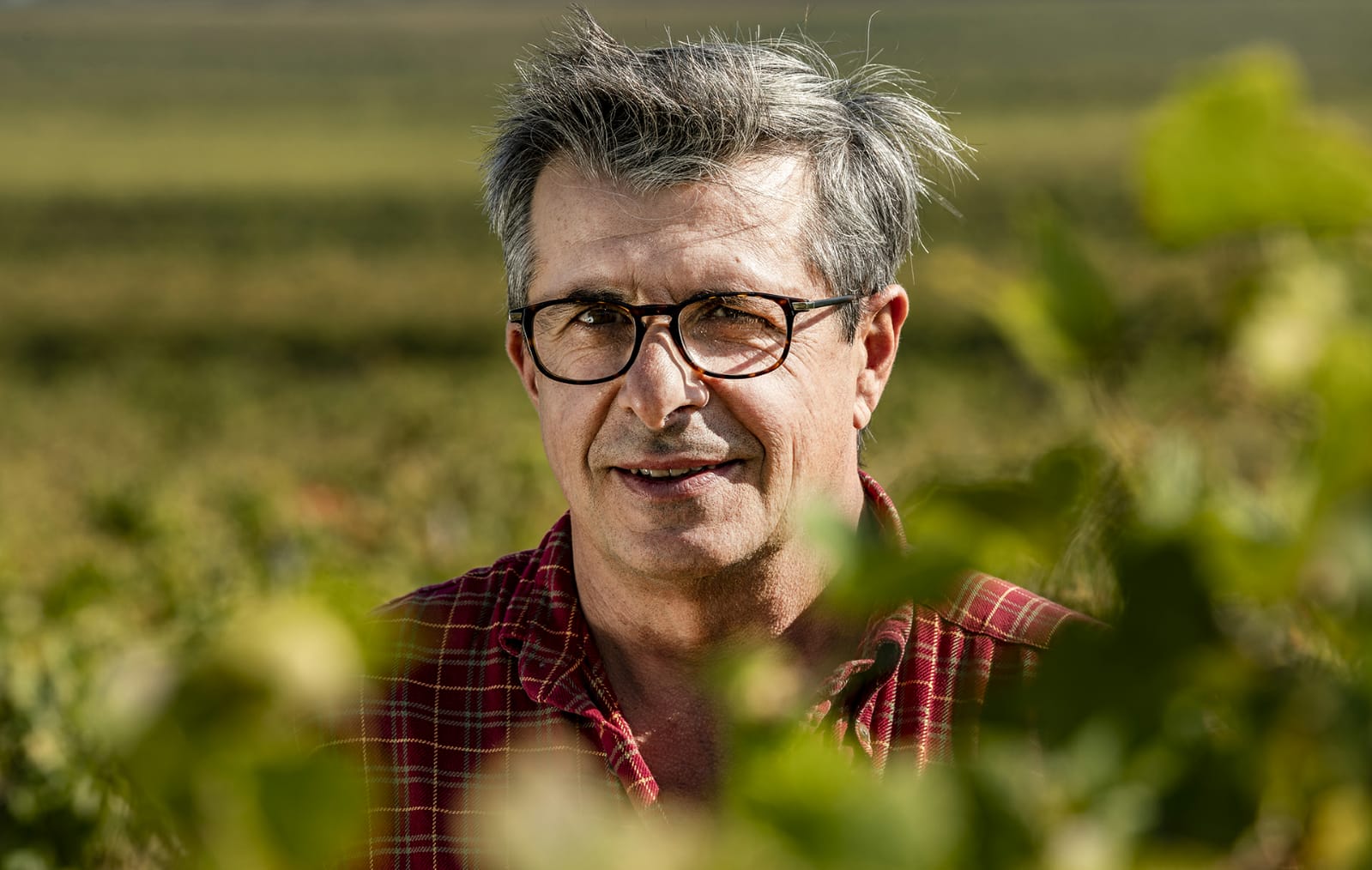 Le vigneron Jérôme Gradassi