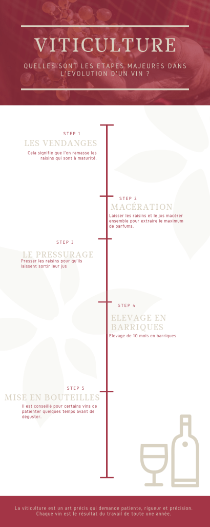 étapes principales pour produire un vin
